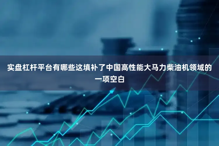 实盘杠杆平台有哪些这填补了中国高性能大马力柴油机领域的一项空白