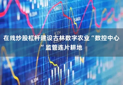 在线炒股杠杆建设古林数字农业“数控中心”监管连片耕地